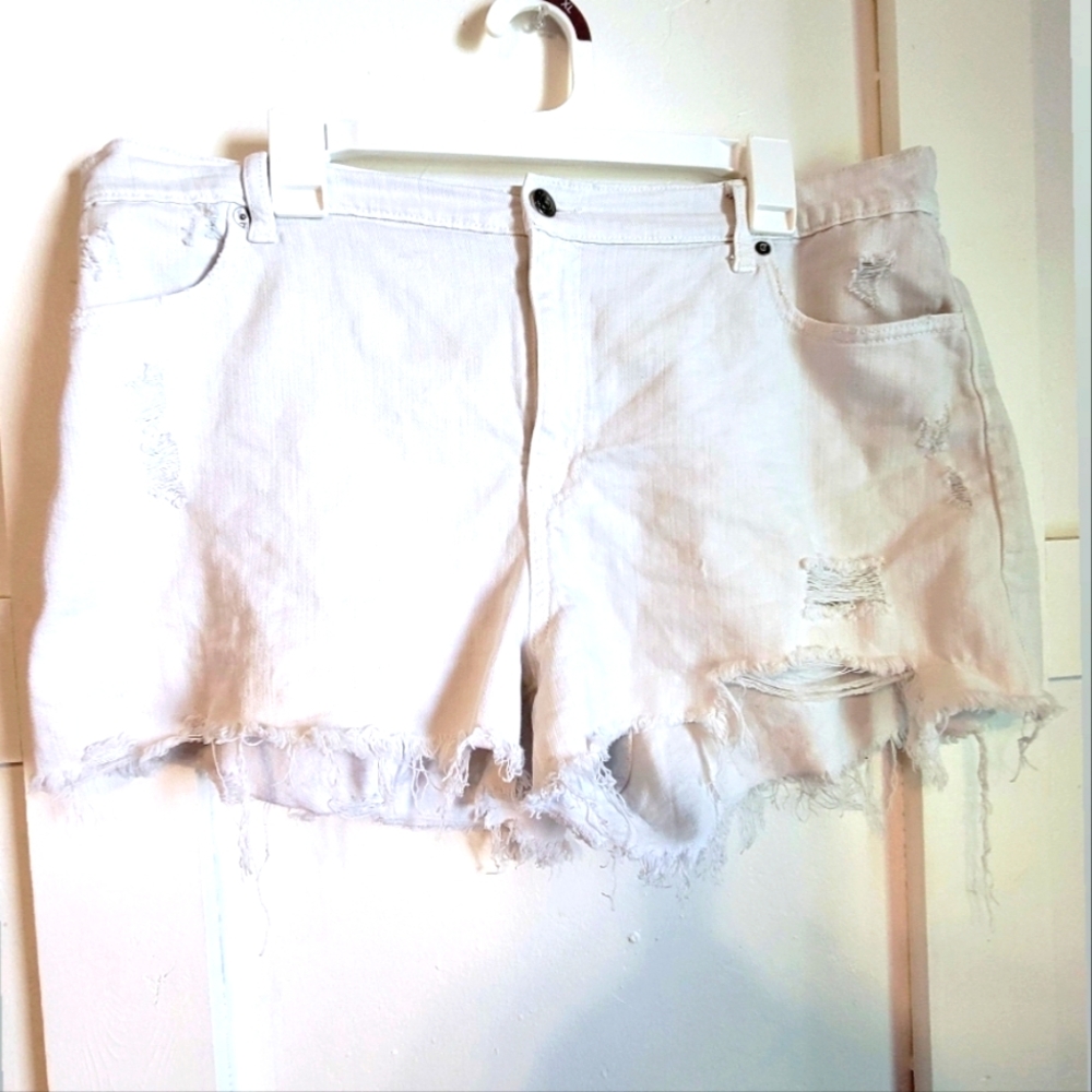 Aerie Daydream Shorts XL